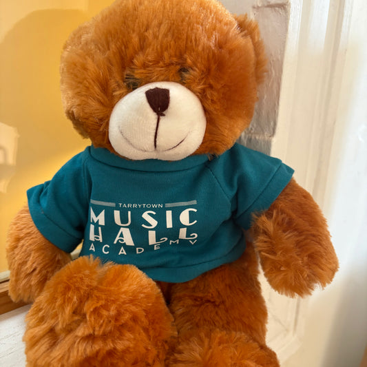 Bear - Teal Academy Bear